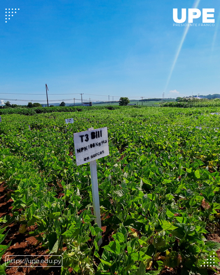 Broche de Oro con las Exposiciones de Campo de los Alumnos de Agronomía: Clausura en el Campo Experimental